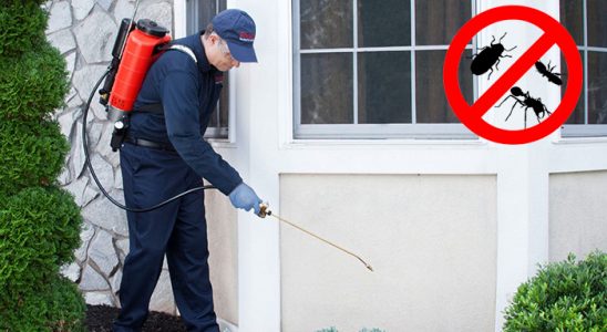 Akdağmadeni Gümüşkurt İlaçlama böcek ilaçlama ve haşere kontrolü — ilaclama-tr.com